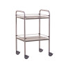 GUERIDON MEDICAL INOX