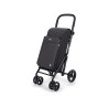 CADDIE LETT439