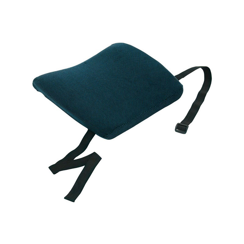 COUSSIN DE SOUTIEN LOMBAIRE BACK