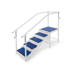 ESCALIER DE REEDUCATION