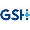 GROUPE SPENGLER HOLTEX